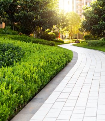 Landscaping Image