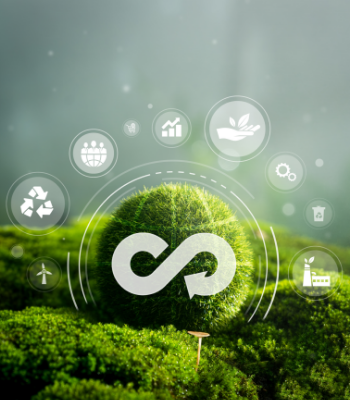 Decarbonization & Sustainability (1)